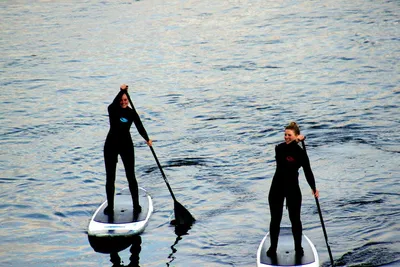 Two stand-up paddlers in wetsuits on the water