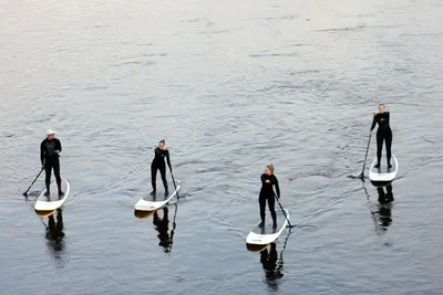 Two stand-up paddlers gliding across the water