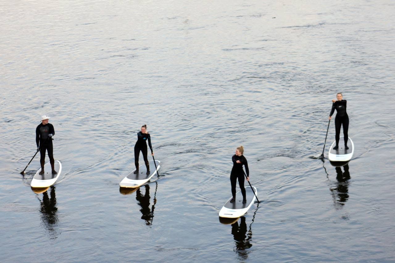 Two stand-up paddlers gliding across the water