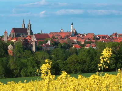 Romantic Road Day Trip Würzburg - Rothenburg o.d.T. mit Weinprobe RRCWINEWUE - Image 8