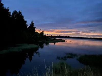 Nacht Nordic Walking - Image 1