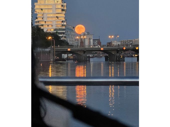 Moonlight Special Highlight Tour im Solar-Katamaran – 2h nächtliche Berlin Spreefahrt ab Oberbaumbrücke| Abfahrt Hafen Solarwaterworld - Image 9