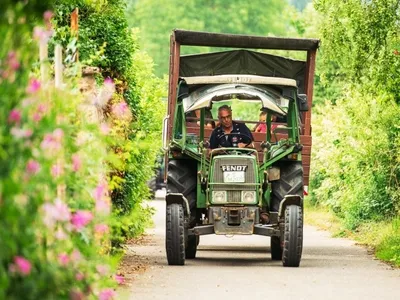 Fahrt durch die Weinberge mit Verkostung - Gift Image
