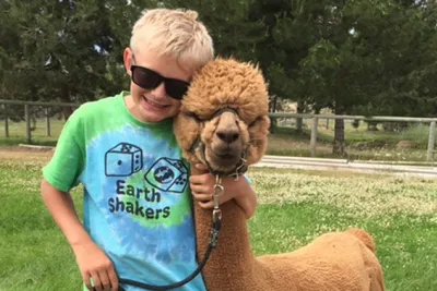 A smiling boy with alpaca