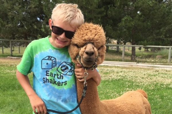 A smiling boy with alpaca