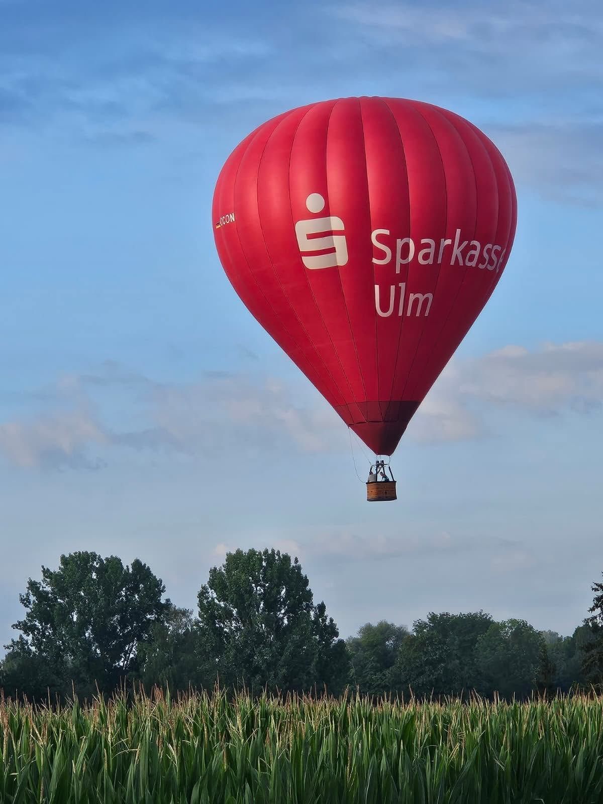 Red hot air balloon in the sky above a cornfield