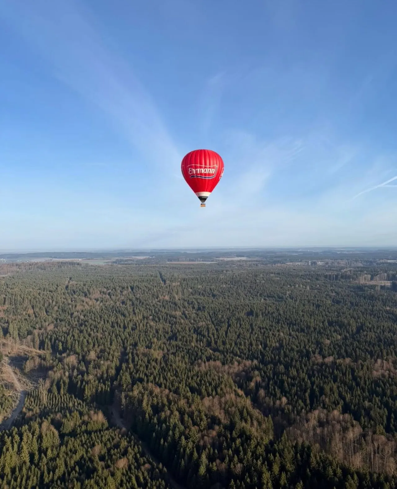 Hot air balloon floating above a forest
