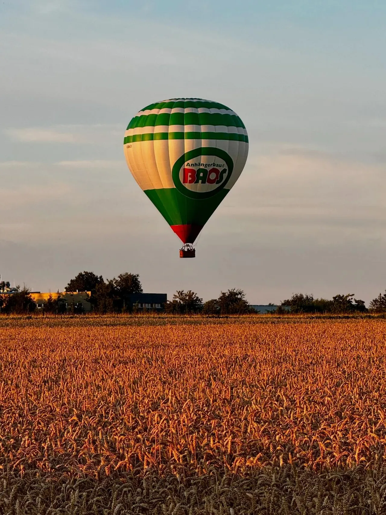 Green and white hot air balloon above a grain field in evening light
