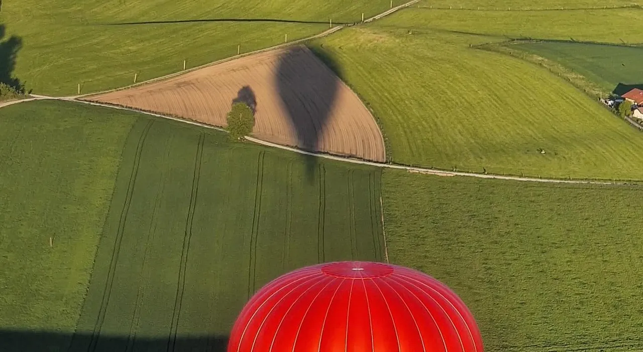 Shadow of a hot air balloon on green meadows