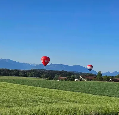 Hot air balloons in front of the Alpine panorama