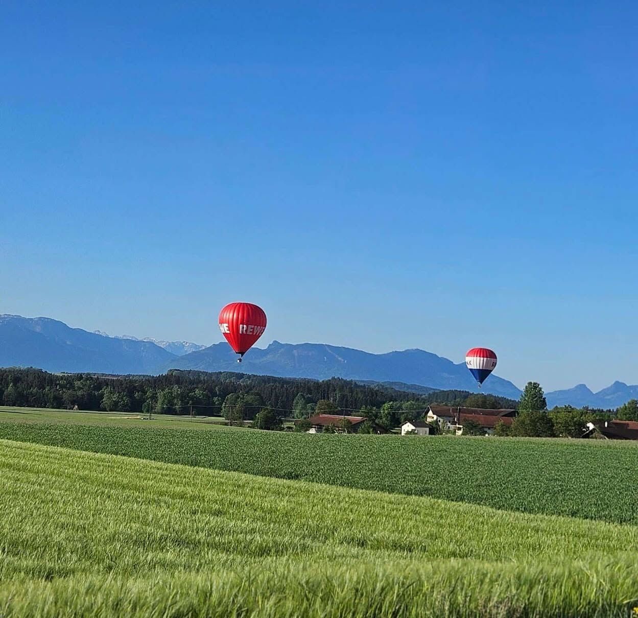 Hot air balloons in front of the Alpine panorama