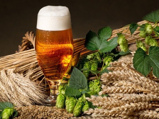 Bierbrauen und BBQ - Image 2
