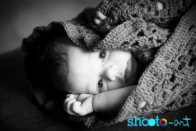 Baby- und Newborn-Fotoshooting in Berlin - Image 2