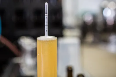 Braukurs in München: Ein Weißbier, bitte! - Image 4