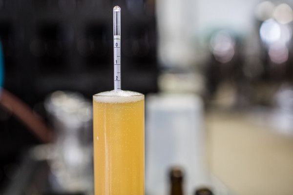 Braukurs in München: Ein Weißbier, bitte! - Image 4