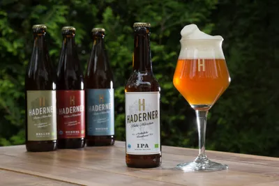 Braukurs in München: Ein IPA, bitte! - Image 0
