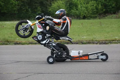 Wheelie - Training Intensiv - Image 0