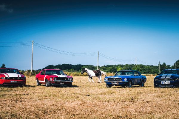 GIVO Group | Mustang Oldtimer (Abholung Wickede Ruhr) - Image 1