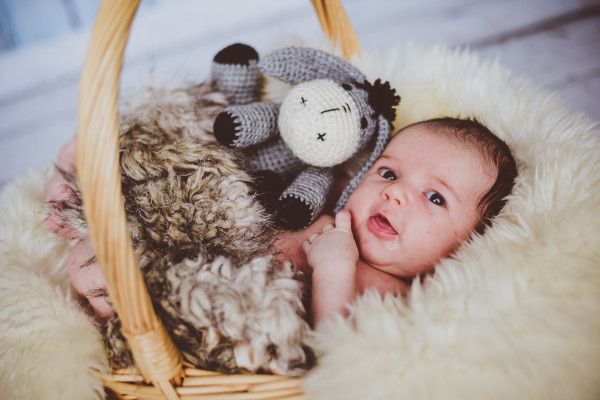 Baby- und Newborn-Fotoshooting in Leipzig - Image 4
