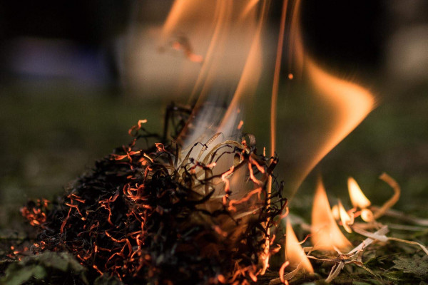 Survival-Tag im Sauerland - Gift Image