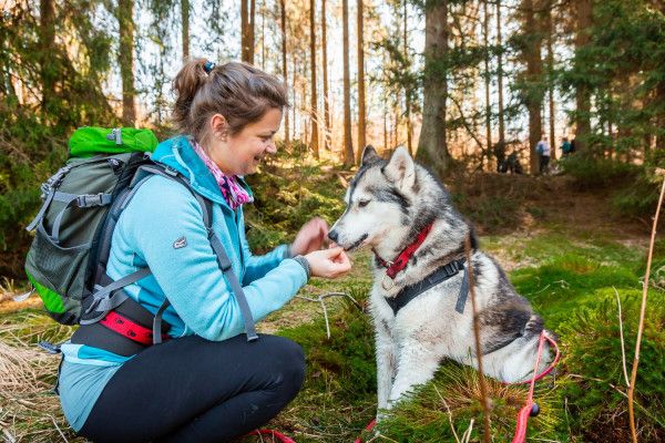 Huskywanderung - Image 3