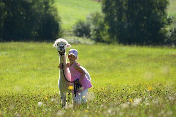Alpaka-Erlebniswanderung für Kinder (3-14 J.) mit Erziehungsberechtigten - Image 0