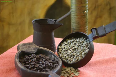 Kaffeeseminar - Gift Image