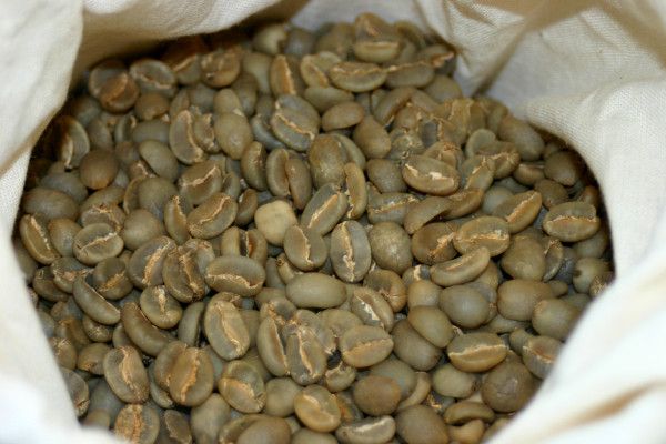 Kaffee Seminar - Image 3