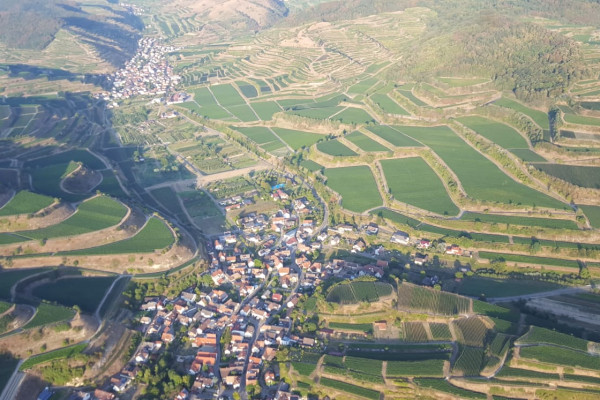 Feldberg