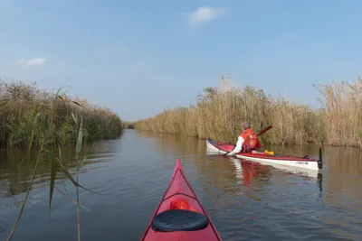 Seekajak Tour - Image 1