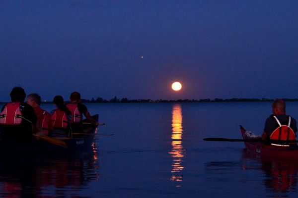 Vollmondtour am Neusiedler See - Image 1