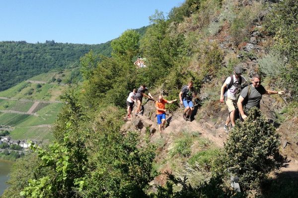 Weinberg Klettersteig an der Mosel