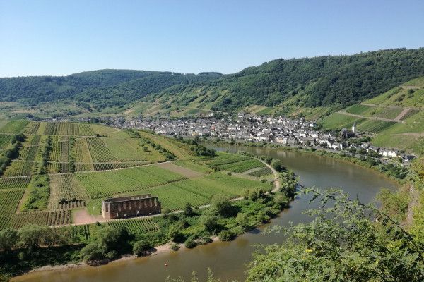 Weinberg Klettersteig an der Mosel