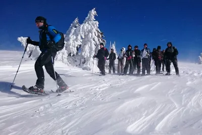 Gruppe mit Guide - unterwegs in der Feldberg Region (Schwarzwald)