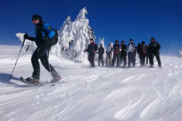 Gruppe mit Guide - unterwegs in der Feldberg Region (Schwarzwald)