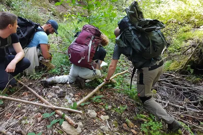 Survival Base Camp - Überlebenstraining im Schwarzwald (2 Tage) - Image 0