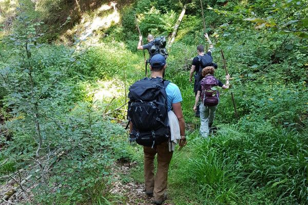 Survival Base Camp - Überlebenstraining im Schwarzwald (2 Tage) - Image 2