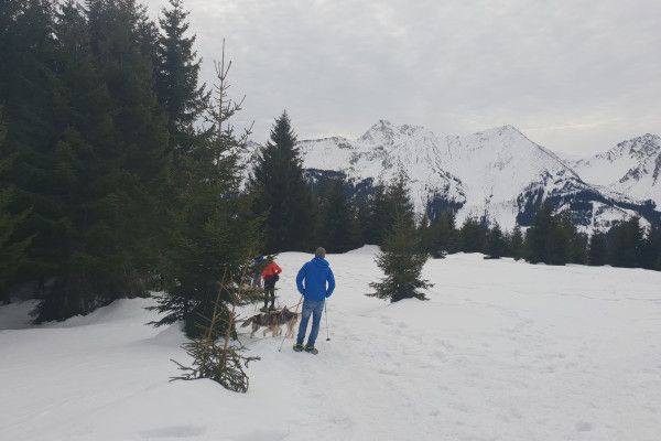 Husky-Schneeschuhwanderung 5,0Std - Image 2