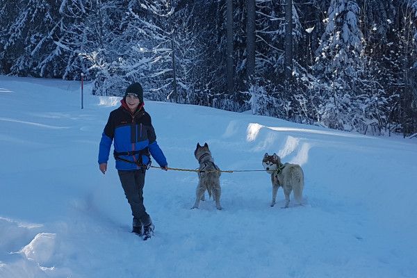 Husky-Wanderung im Unterallgäu 5,0Std - Image 2
