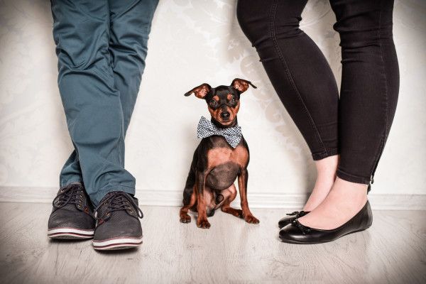 Fotoshooting Hund mit Lieblingsmensch/en in Wuppertal - Image 4