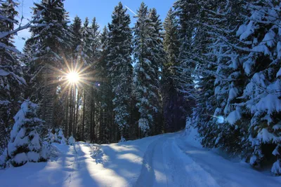 Dreitägige Winter-Erlebniszeit in Neuhaus am Rennweg - Image 5