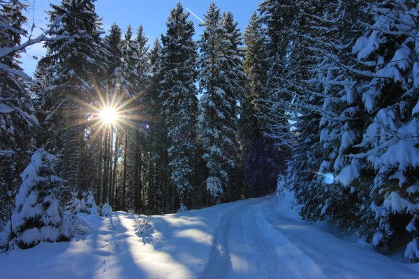Dreitägige Winter-Erlebniszeit in Neuhaus am Rennweg - Image 5