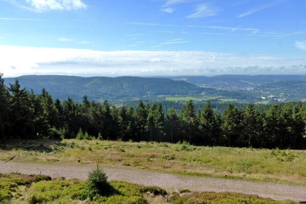 Mythos Rennsteig – Das Rundum-sorglos-Paket 2026 - Image 2