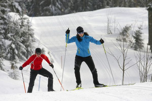 Tageskurs Langlauf in der Skating Technik - Image 0