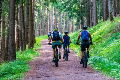 MTB-Kurzurlaub "Mythos Rennsteig" mit Rücktransport - Gift Image