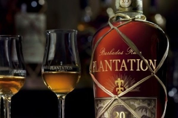 Rum Tasting GivoGroup - Image 4