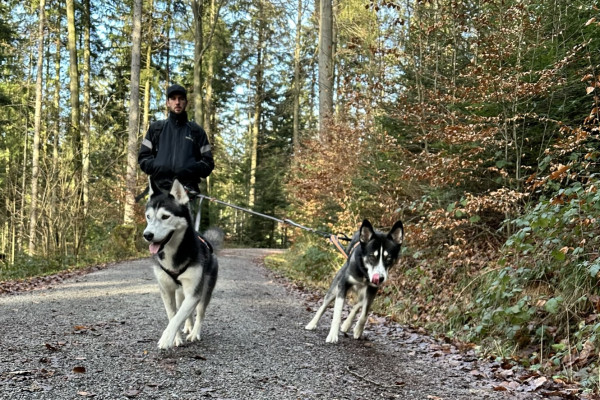 Husky-Erlebniswanderung - Image 2