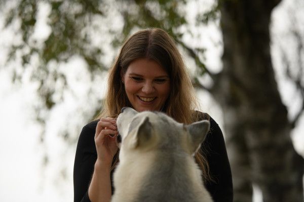 Kleine Husky-Auszeit - 1,5 Stunden - Image 1