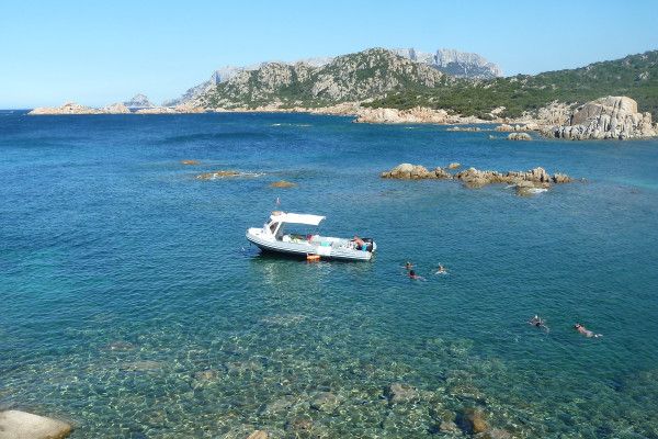 Half Day tour in Tavolara Marine Park N - Image 1