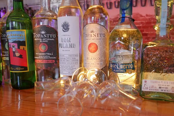 Gourmet-Tasting - "Welt des Tequila & Mezcal" - Image 2